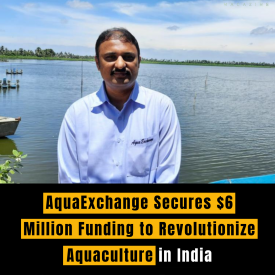 AquaExchange Secures $6 Million Funding to Revolutionize Aquaculture in India