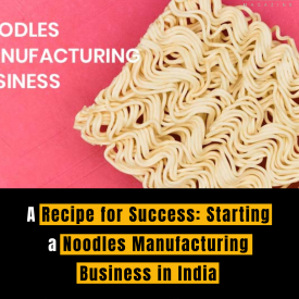 A Recipe for Success: Starting a Noodles Manufacturing Business in India