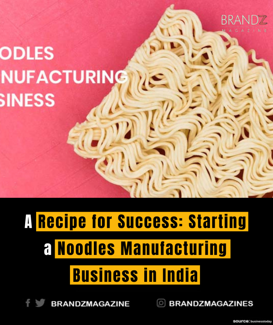 A Recipe for Success: Starting a Noodles Manufacturing Business in India