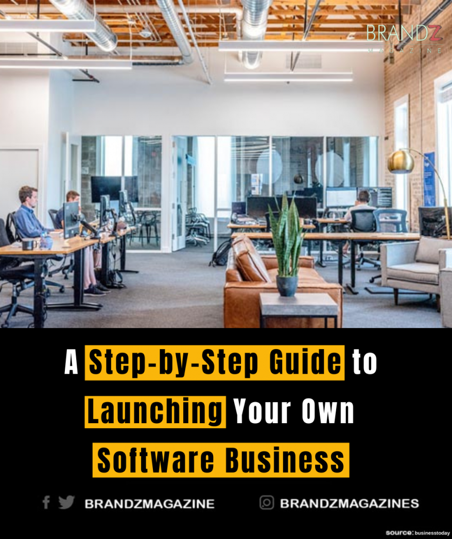 A Step-by-Step Guide to Launching Your Own Software Business