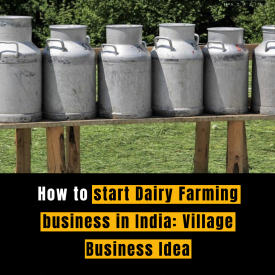 Dairy Farming Business in India: A Guide for Rural Entrepreneurs