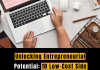 Unlocking Entrepreneurial Potential: 10 Low-Cost Side Business Ideas