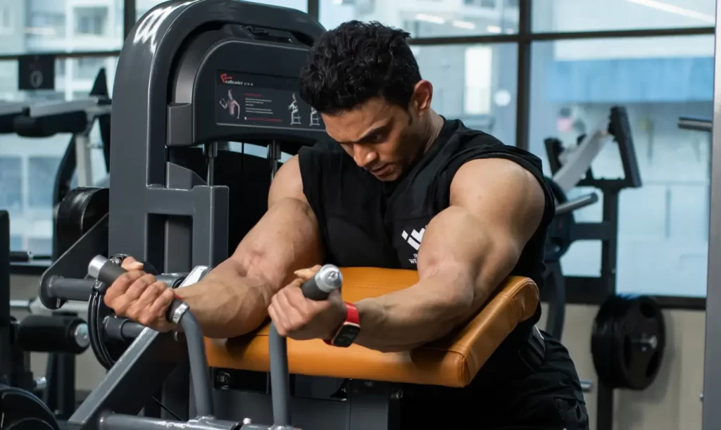 Fitness & Wellness Business